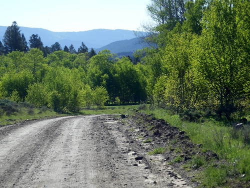 GDMBR: East bound and joyful cycling.